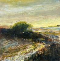 Evening Warmth